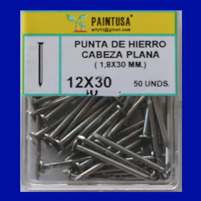 PUNTA DE HIERRO CABEZA PLANA 12X30