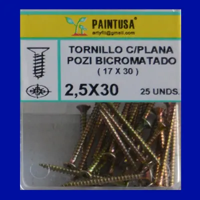 TORNILLOS POZI 2.5X30