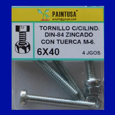 TORN.DIN-84 C/TUERCA 6X40